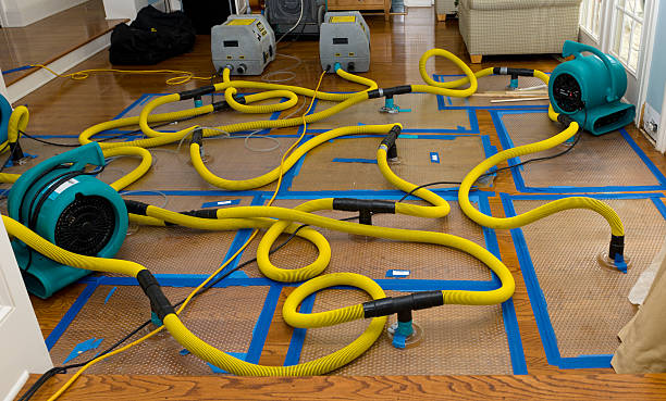 Professional Burst Pipe Water Damage technician working in Uehling, NE